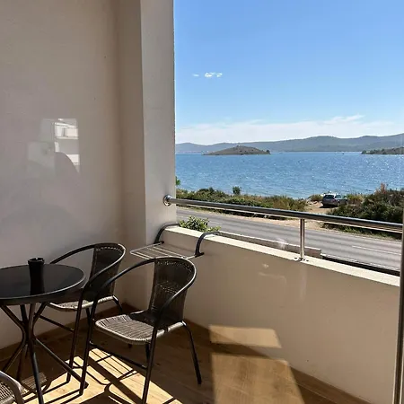 Galesnjak سفيتي بيتار